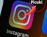 Picuki Instagram Editor and Viewer for Stories, Profiles, Followers