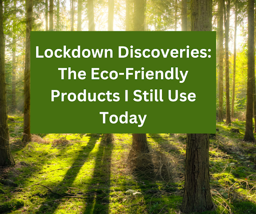 Lockdown Discoveries: The Eco-Friendly Products I Still Use Today